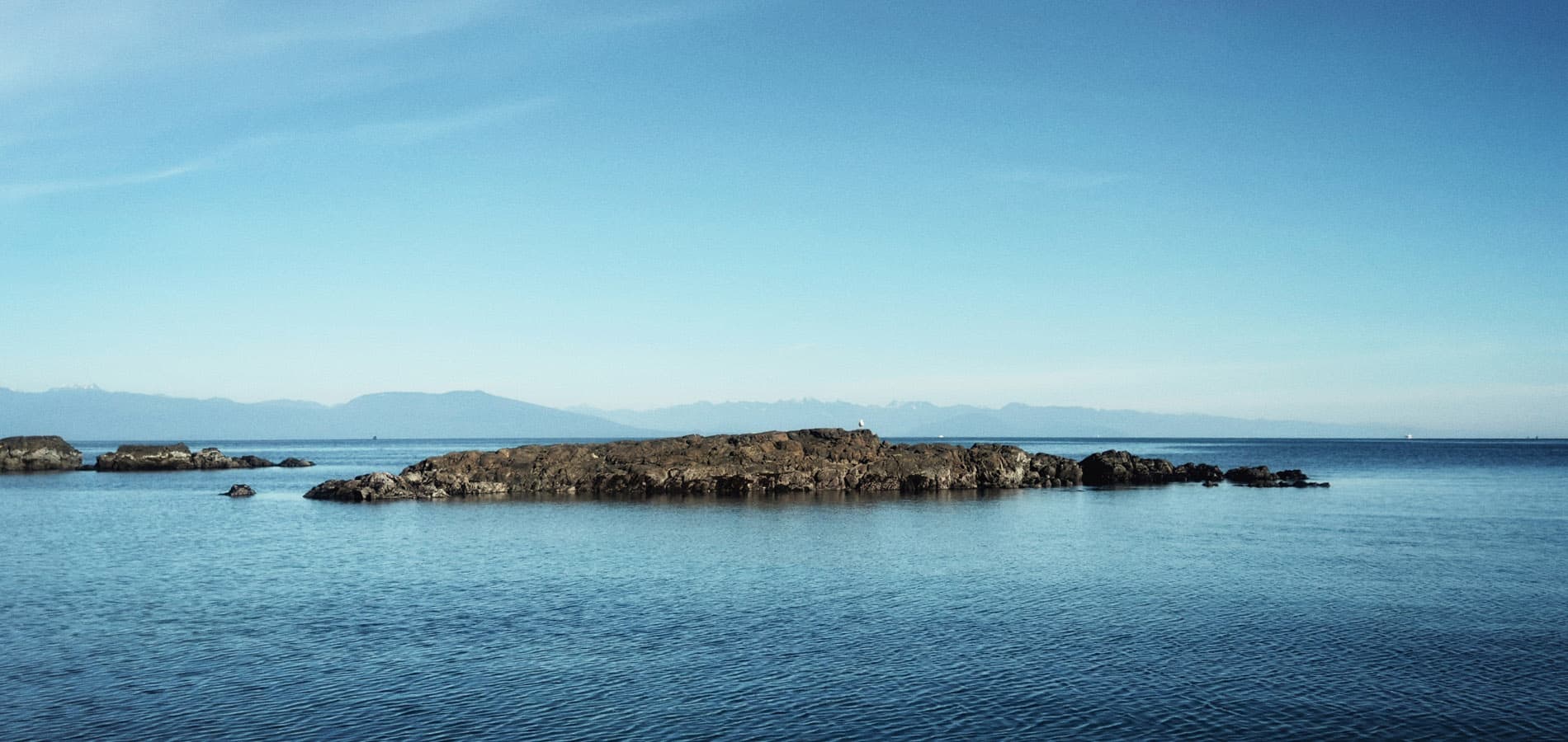 Seed Science in Nanaimo, BC